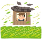 【コラム】消費税の減税と給付付き税額控除
